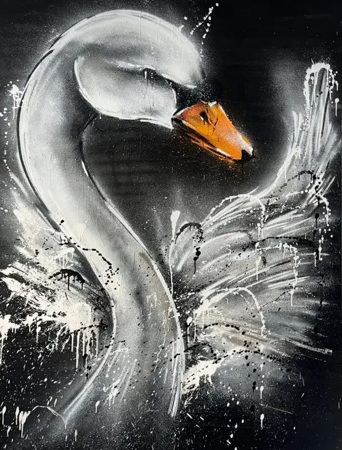 Schwarzer Schwan auf dunklem Hintergrund mit weißem Lichtakzent.