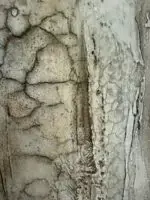 Spuren – Bild 6