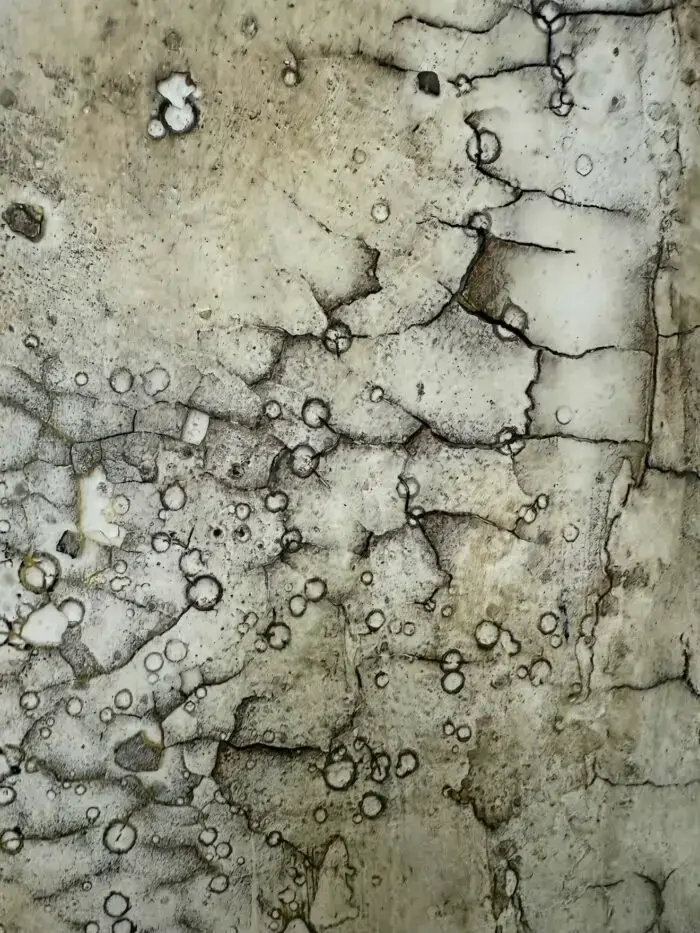 Spuren – Bild 7