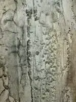 Spuren – Bild 10