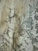 Spuren – Bild 9