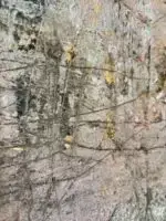 ART XII – Bild 4
